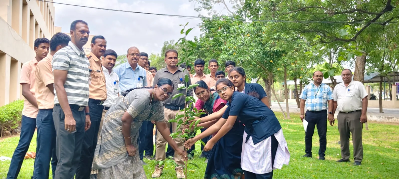 Eco-Friendly Sapling Distribution